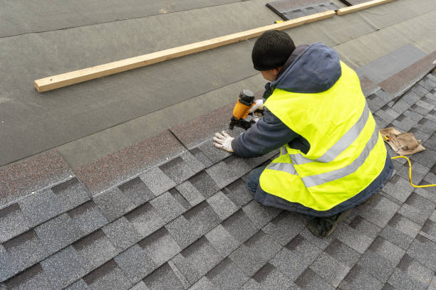 Best Solar Panel Roofing Installation  in Lynchburg, VA