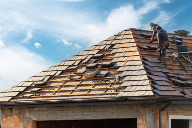 Best Roof Ventilation Installation  in Lynchburg, VA