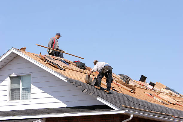 Best Rubber Roofing (EPDM, TPO)  in Lynchburg, VA