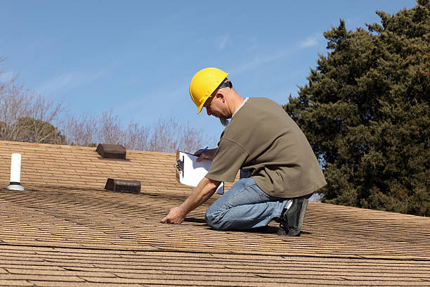 Best Roof Moss and Algae Removal  in Lynchburg, VA