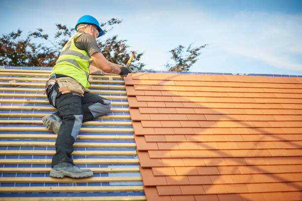 Best Rubber Roofing (EPDM, TPO)  in Lynchburg, VA