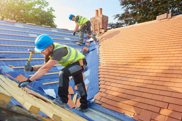 Best Roof Maintenance and Cleaning  in Lynchburg, VA